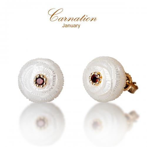 Carnation Pearl Flower